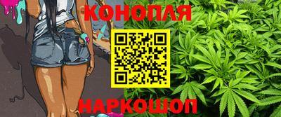шишки Коммунар