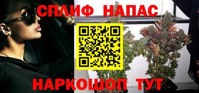 шишки Коммунар